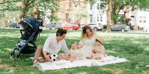 family picnics in a park with the chit chat plus stroller