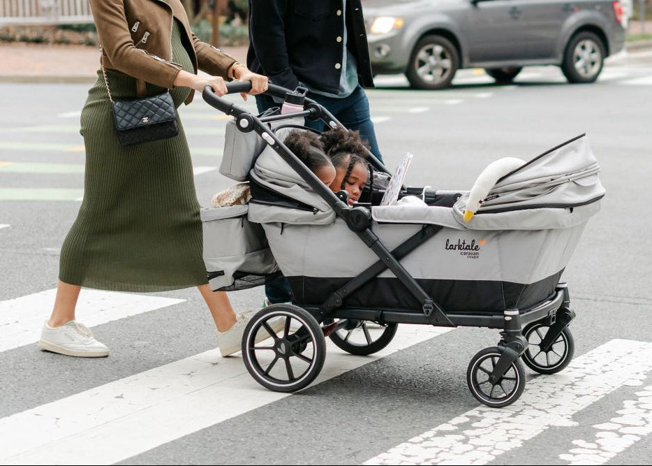 caravan coupe grey walking across the street